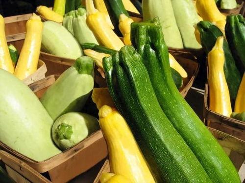 吃瓜专家番禺,吃瓜专家带你领略美食天堂的风采