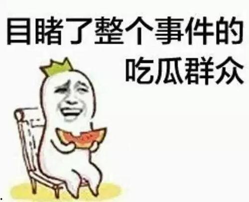 王云吃瓜群众,吃瓜群众的视角，揭秘娱乐圈风云
