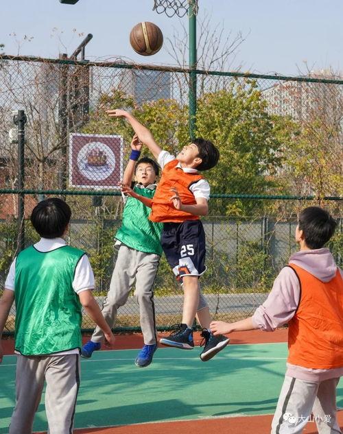 圆篮瓜怎么吃,解锁美味新体验