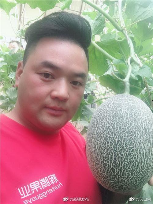 网上卖吃瓜,揭秘“吃瓜”现象背后的美食魅力