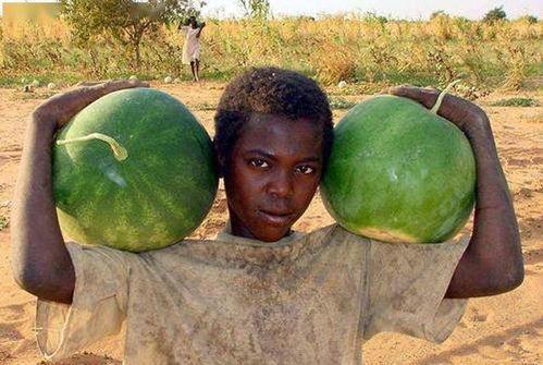 美国留子吃瓜,揭秘留学生活背后的酸甜苦辣