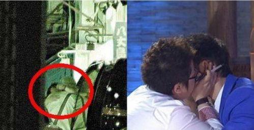 韩红吃瓜群众,揭秘娱乐圈幕后真相