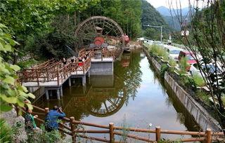 佛坪县吃瓜,瓜果飘香，品味田园生活新篇章