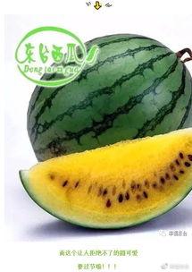 小8 吃瓜,揭秘娱乐圈那些不为人知的幕后故事