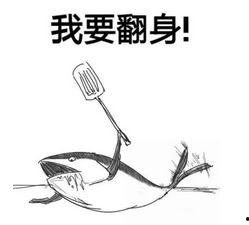 吃瓜咸鱼程序猿,编程界的趣味生活与智慧结晶