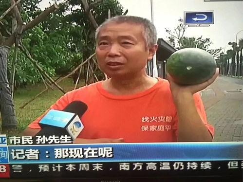 滨海吃瓜群众事件,揭秘网络舆论的风暴与反思  第2张