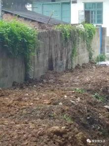 吃瓜围墙,探寻网络舆论背后的真相与影响  第2张