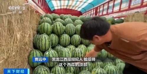 吃瓜围墙,探寻网络舆论背后的真相与影响  第3张