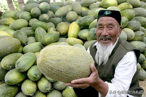 哈密瓜新疆内地人吃瓜,内地人眼中的甜蜜诱惑  第2张