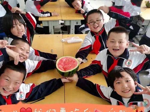 河北中学吃瓜,吃瓜群众揭秘校园美食风云  第2张