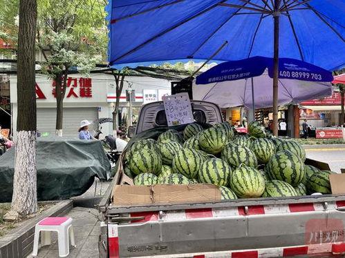 最新成都吃瓜,最新“吃瓜”事件揭秘  第2张