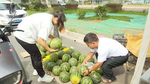 0元吃瓜,揭秘网络红利的秘密世界  第2张