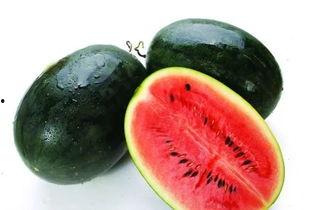 aaa专业吃瓜,瓜界风云录