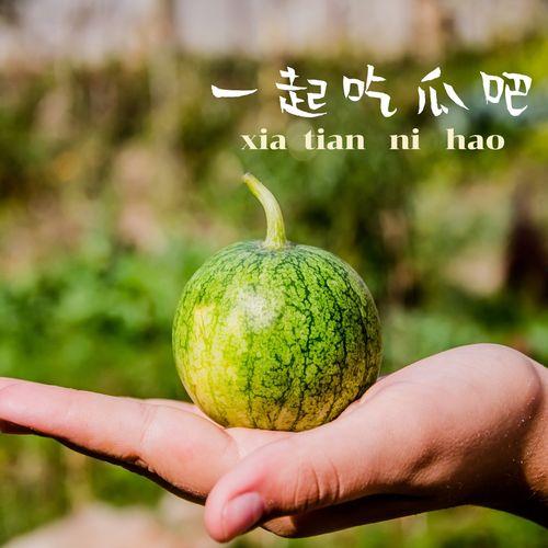 aaa专业吃瓜,瓜界风云录  第2张