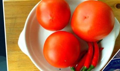 aaa专业吃瓜,瓜界风云录  第3张