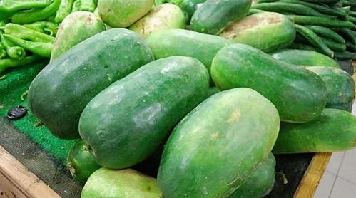 养崽吃瓜日常,瓜田里的欢乐时光  第3张