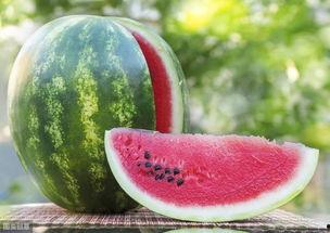 什么岗位容易吃瓜,揭秘哪些行业最易成为“吃瓜群众”聚集地  第2张