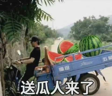 吃瓜竞圈,一场全民参与的娱乐盛宴  第3张