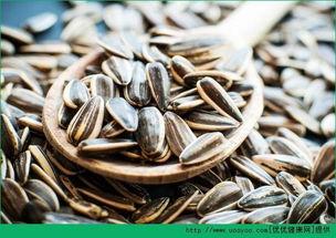 听瓜吃瓜子,听瓜吃瓜子的趣味生活体验  第2张