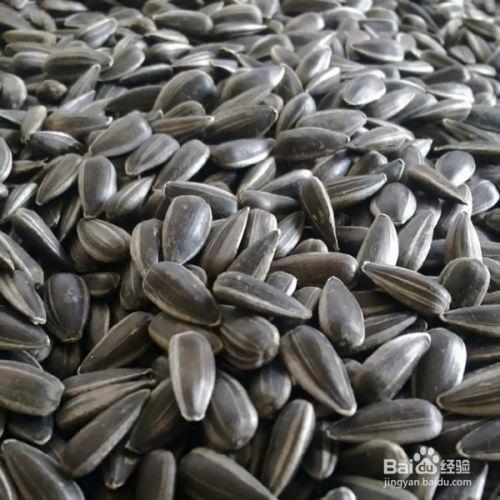 听瓜吃瓜子,听瓜吃瓜子的趣味生活体验  第3张