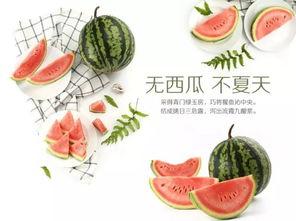 郑州吃瓜文化传播,揭秘城市里的“瓜田”盛景  第3张