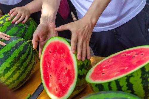 大学吃瓜免费,揭秘校园生活新潮流  第2张