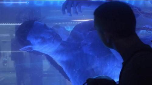 阿凡达吃大瓜  第3张