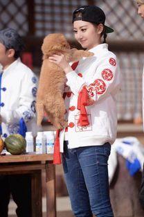 奔跑吧吃瓜游戏  第2张