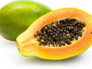 小瓜的籽可以吃吗,美味可口的天然零食探索