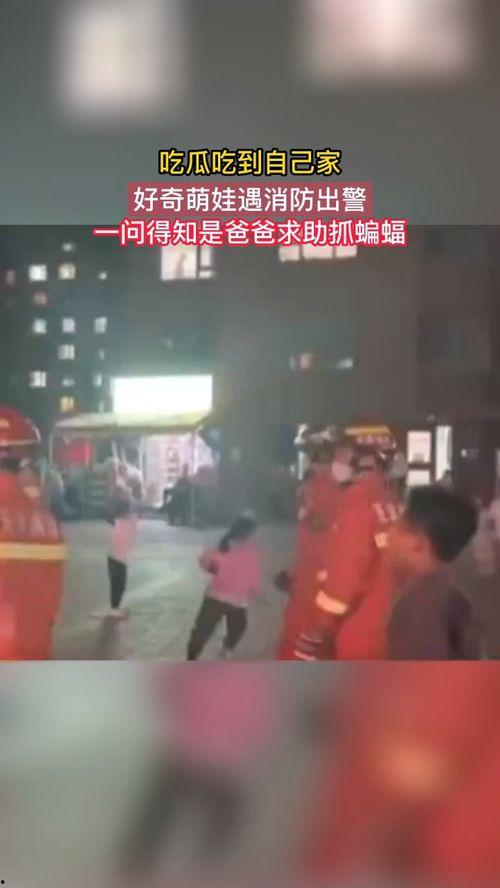 出警吃瓜,揭秘警民互动背后的故事  第2张