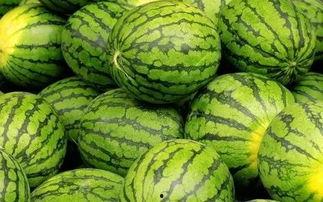 网上的吃瓜网,揭秘吃瓜群众的狂欢与反思  第3张