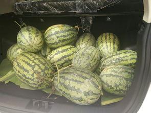 搬板凳前排吃瓜