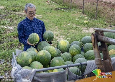 搬板凳前排吃瓜  第2张