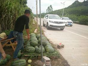 搬板凳前排吃瓜  第3张