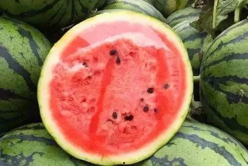 吃瓜群众为什么是西瓜,网络文化的演变与解读  第3张