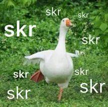 吃瓜群众的流行词汇,揭秘网络流行语背后的故事  第3张