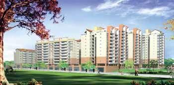 南宁建院 吃瓜,揭秘校园“吃瓜”风云录  第3张