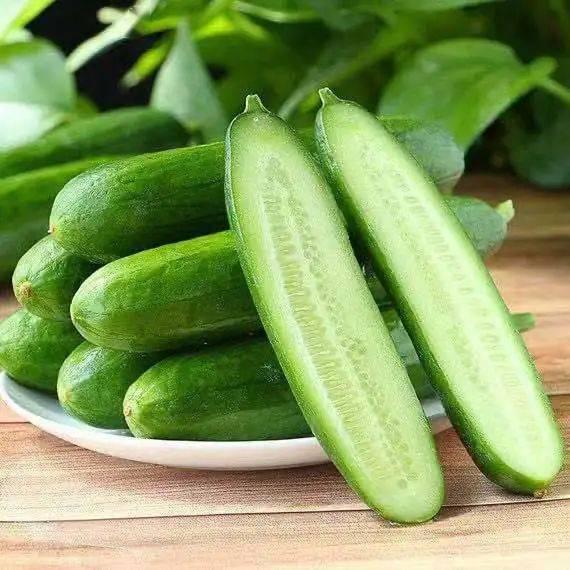 这瓜吃的2021,瓜界风云录  第3张