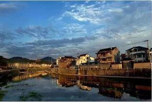 吃瓜楼楼,网络红人的崛起与影响力  第2张