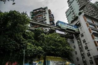 吃瓜楼楼,网络红人的崛起与影响力  第3张