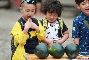 kpop吃瓜占卜娃,揭秘“吃瓜占卜娃”背后的秘密与魅力  第2张