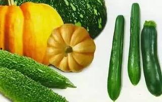 老金吃瓜入口  第2张