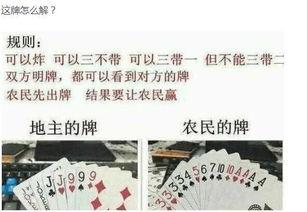 吃瓜太多搞笑文案图片,搞笑文案图片大盘点  第2张