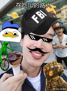 可爱的吃瓜路人,揭秘可爱吃瓜者的欢乐时光