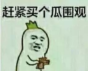 吃瓜群众第186位,揭秘网络红人的崛起之路  第3张