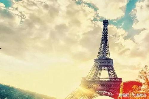 铁塔公司事件吃瓜,真相与争议交织的瓜界风云  第3张