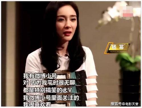 明星吃瓜在线观看,在线观看，揭秘娱乐圈幕后故事  第2张