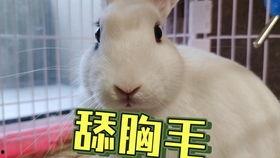 吃瓜素材女海王,揭秘网络红人的真实生活  第2张