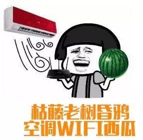 夏天来了吃瓜群众,吃瓜群众欢乐多  第2张