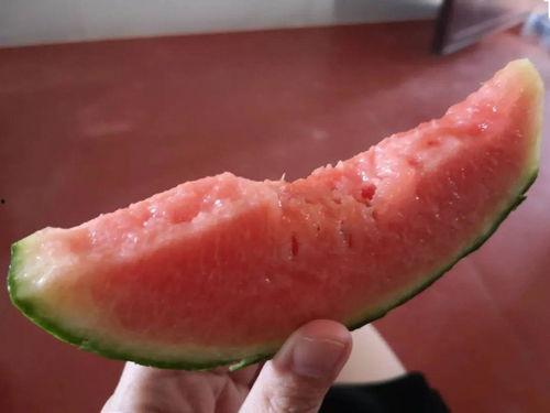 云夕吃瓜,揭秘娱乐圈背后的那些事儿  第2张